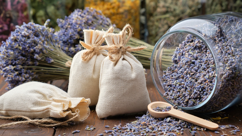Dried lavender