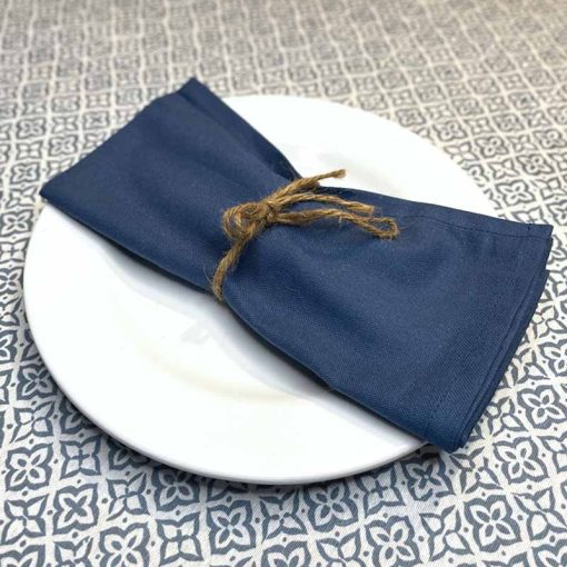 Blue Cotton Napkin on Rodas Blue